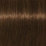 Igora Royal Absolutes Krémhajfesték 7-140 - 60ml