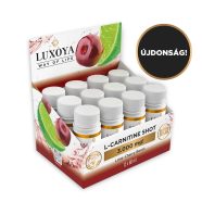  L-CARNITINE SHOT 3.000 mg FOLYÉKONY L-KARNITIN 12x60 ml gyűjtődőboz - Meggy-lime ízű