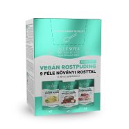   9-FIBRE VEGAN PROTEIN PUDDING - VEGÁN FEHÉRJÉT TARTALMAZÓ ROSTPUDING 9 FÉLE NÖVÉNYI ROSTTAL - Gyűjtődoboz 6x45 g (2x3 íz)