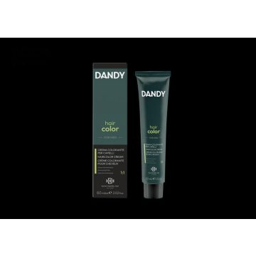 DANDY hajfesték férfiaknak