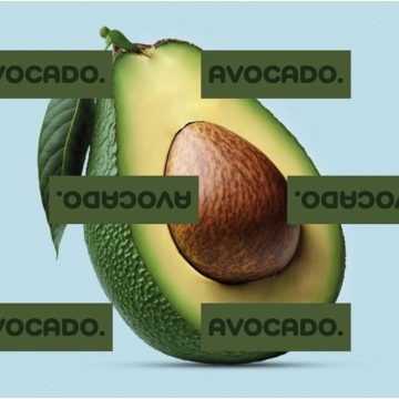 Kezy Hajápolás AVOCADO